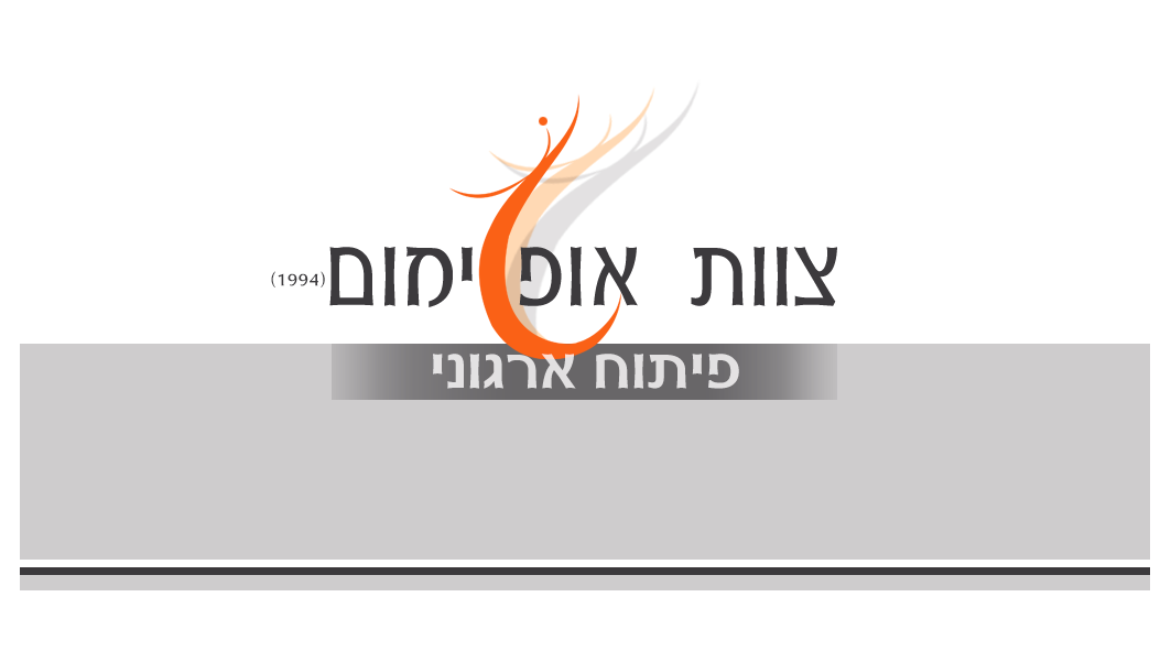 תרגישו חופשי לצרף את הלוגו של העסק שלכם