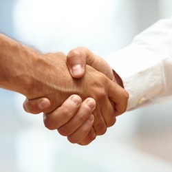 Closeup of a business handshake