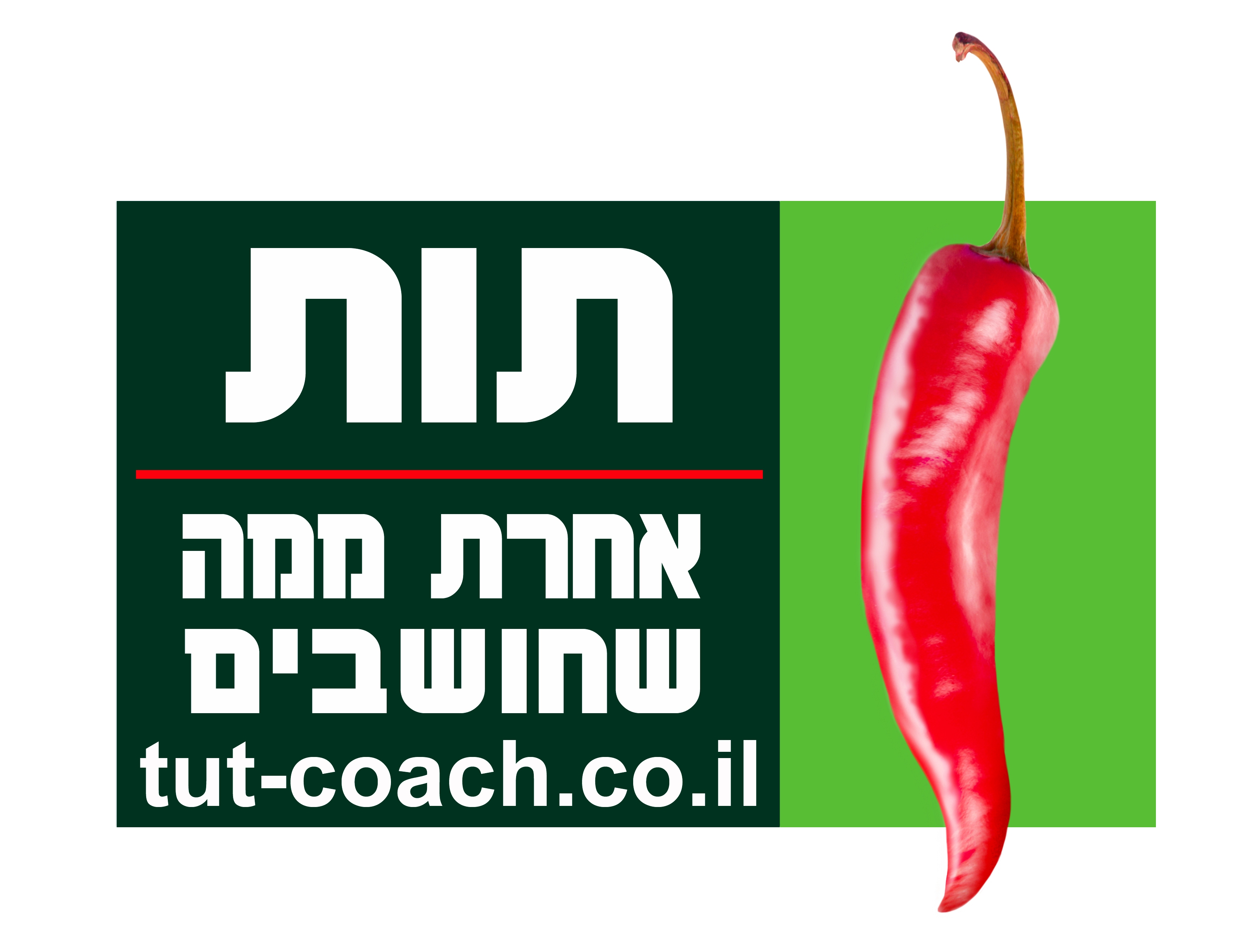 תרגישו חופשי לצרף את הלוגו של העסק שלכם